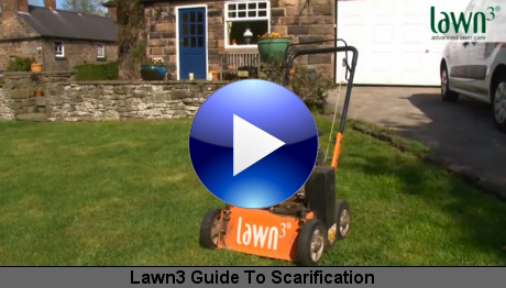 Lawn3 Guide To Scarification