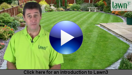 Click here for an introduction to Lawn3